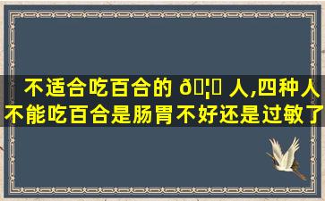不适合吃百合的 🦆 人,四种人不能吃百合是肠胃不好还是过敏了